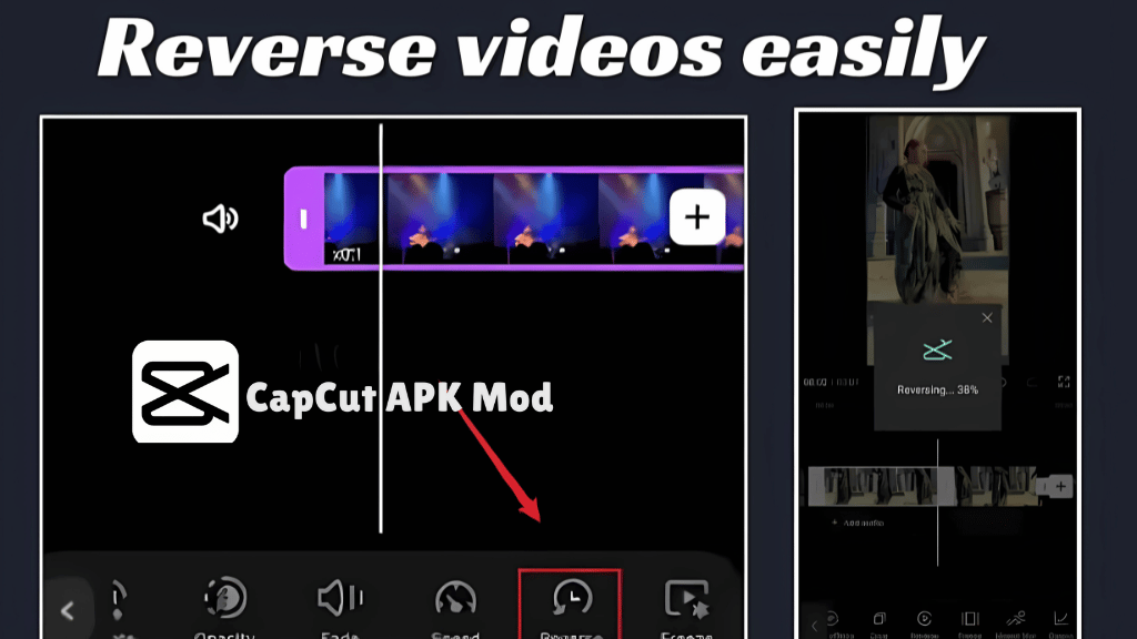 Reverse Video Effect