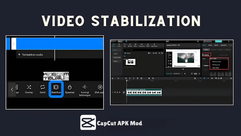 Video Stabilization